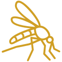 Bed Bug Treatment